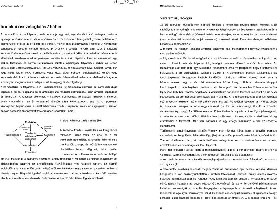 A véráramlás sebességét"l függ"en kering" trombociták gy$lnek a sérülés helyére, ahol azok a képz"d" trombus f" összetev"ivé válnak az artériás oldalon; a szöveti faktor által beindított véralvadás