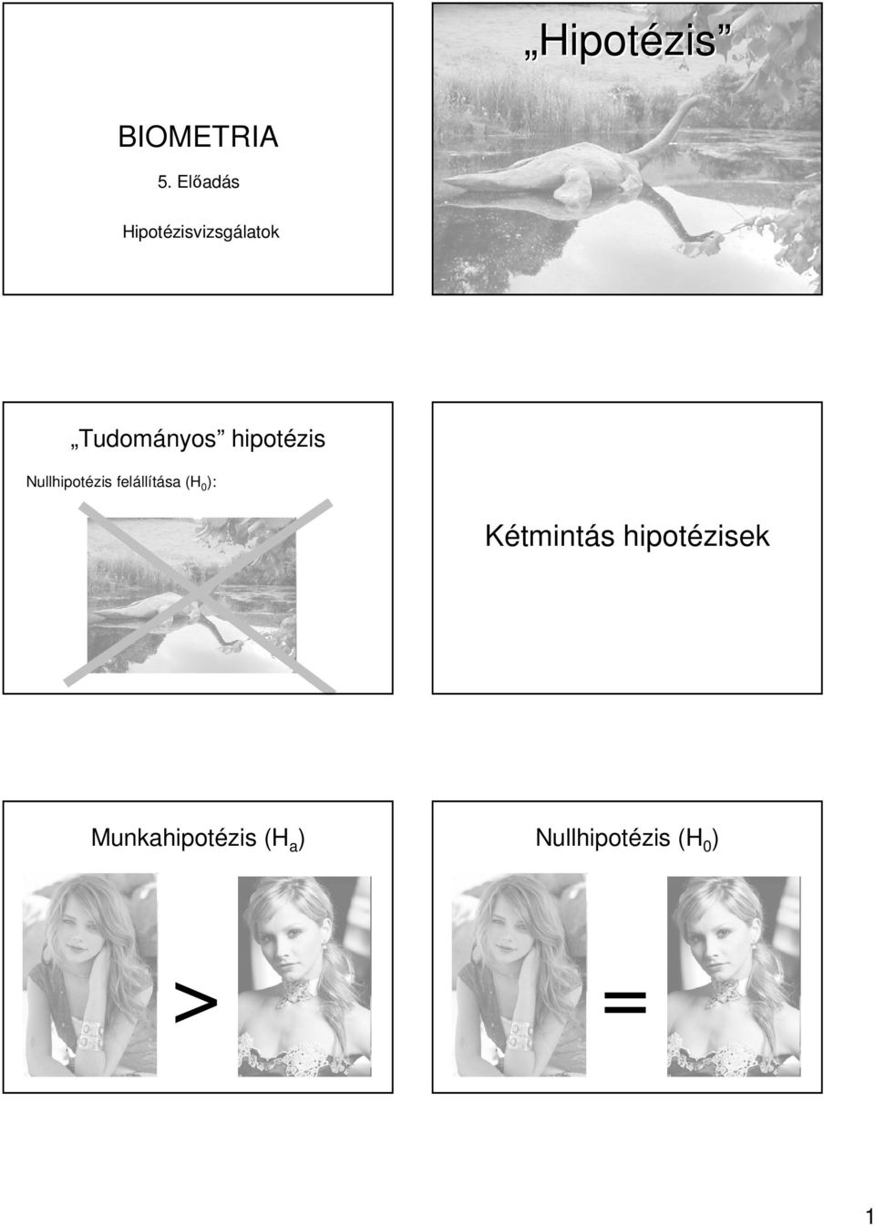 Tudományos hipotézis Nullhipotézis feláll