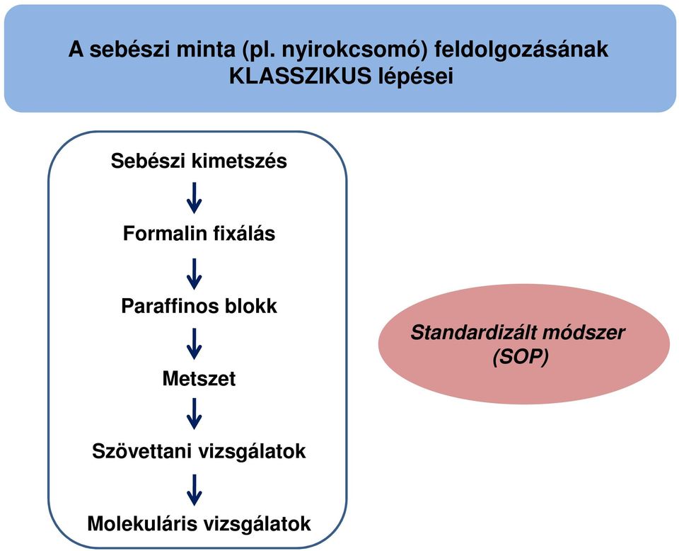 Sebészi kimetszés Formalin fixálás Paraffinos