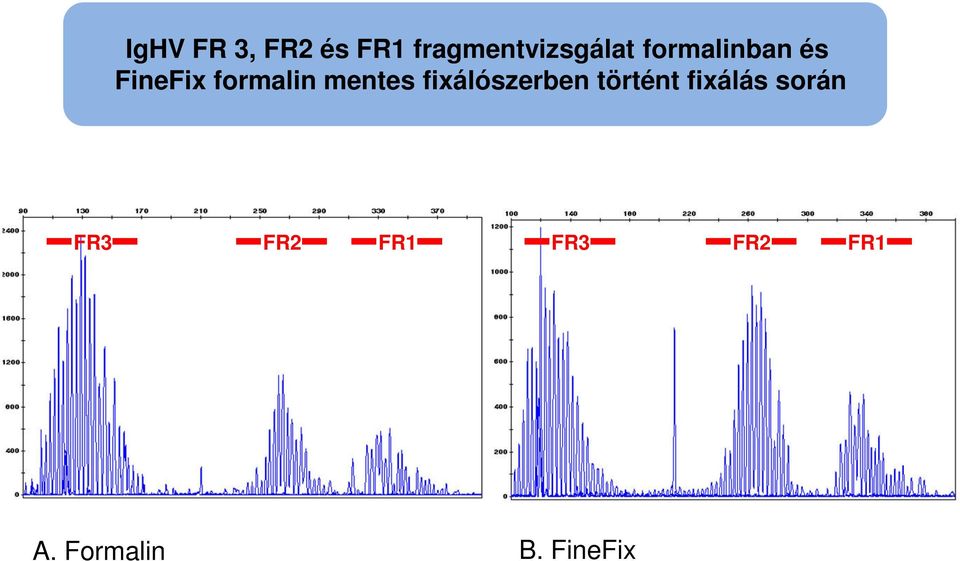 fixálószerben történt fixálás során FR3