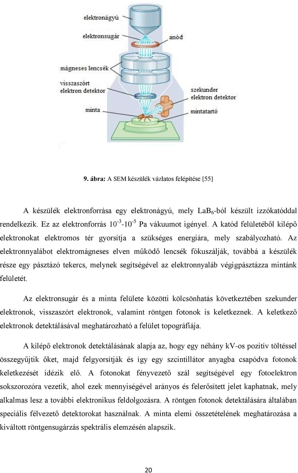 Az elektronnyalábot elektromágneses elven működő lencsék fókuszálják, továbbá a készülék része egy pásztázó tekercs, melynek segítségével az elektronnyaláb végigpásztázza mintánk felületét.