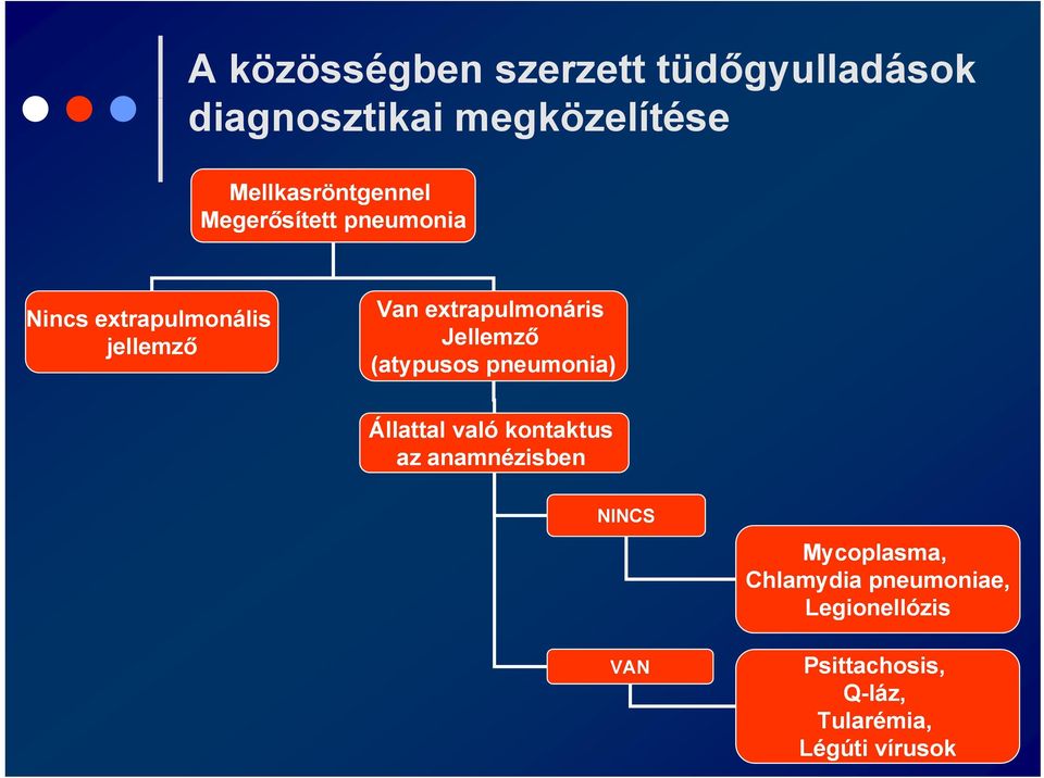 extrapulmonáris Jellemző (atypusos pneumonia) Állattal való kontaktus az