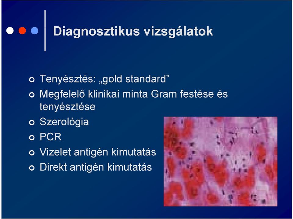 festése és tenyésztése Szerológia PCR