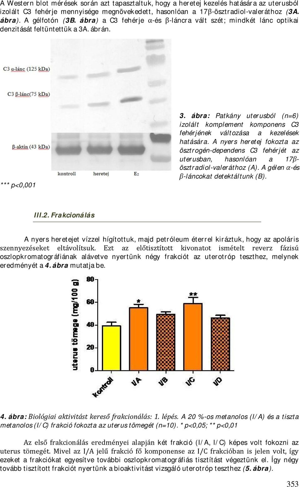 ábra: Patkány uterusból (n=6) izolált komplement komponens C3 fehérjének változása a kezelések hatására.