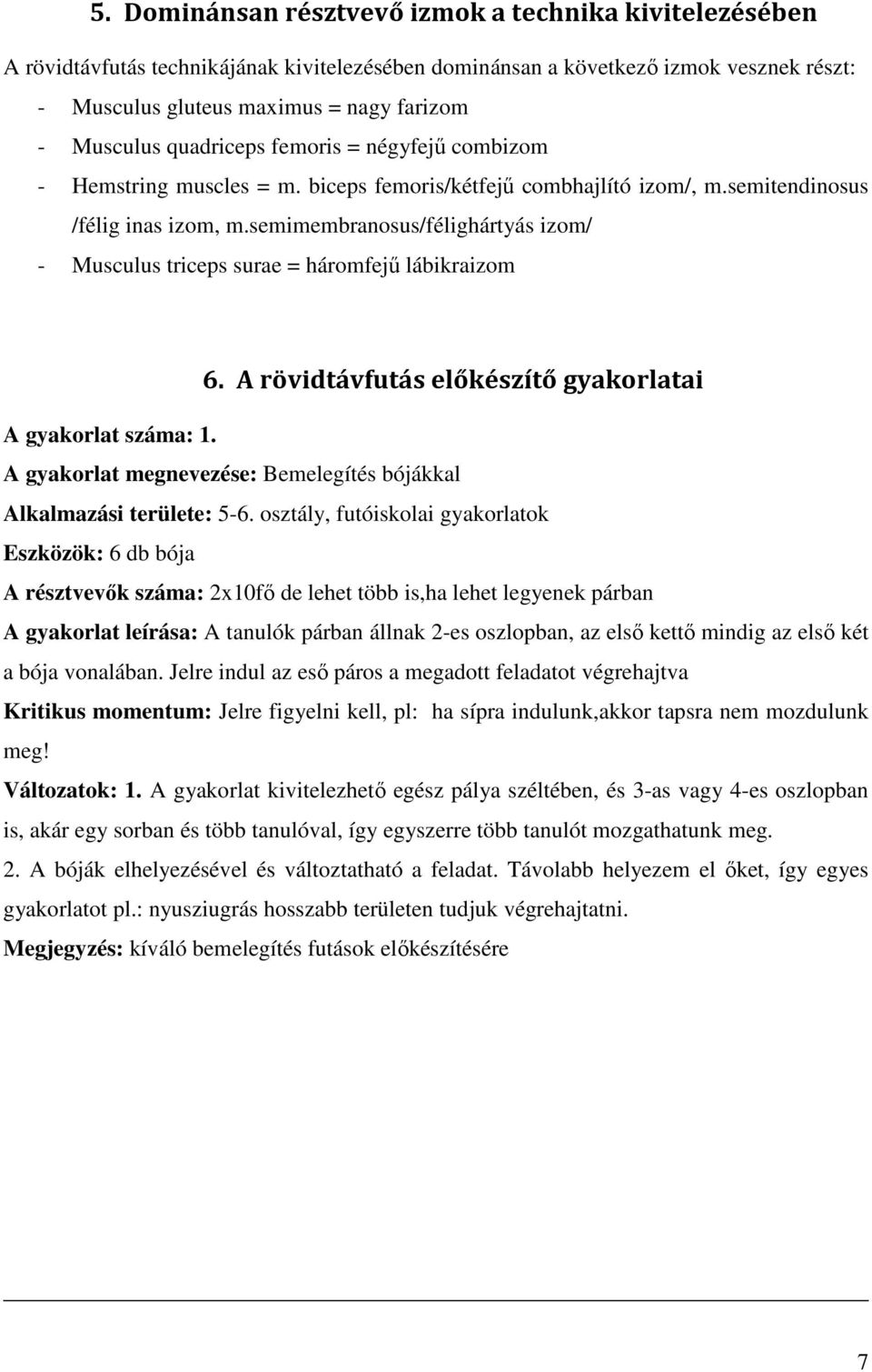 semimembranosus/félighártyás izom/ - Musculus triceps surae = háromfejű lábikraizom 6. A rövidtávfutás előkészítő gyakorlatai A gyakorlat száma: 1.