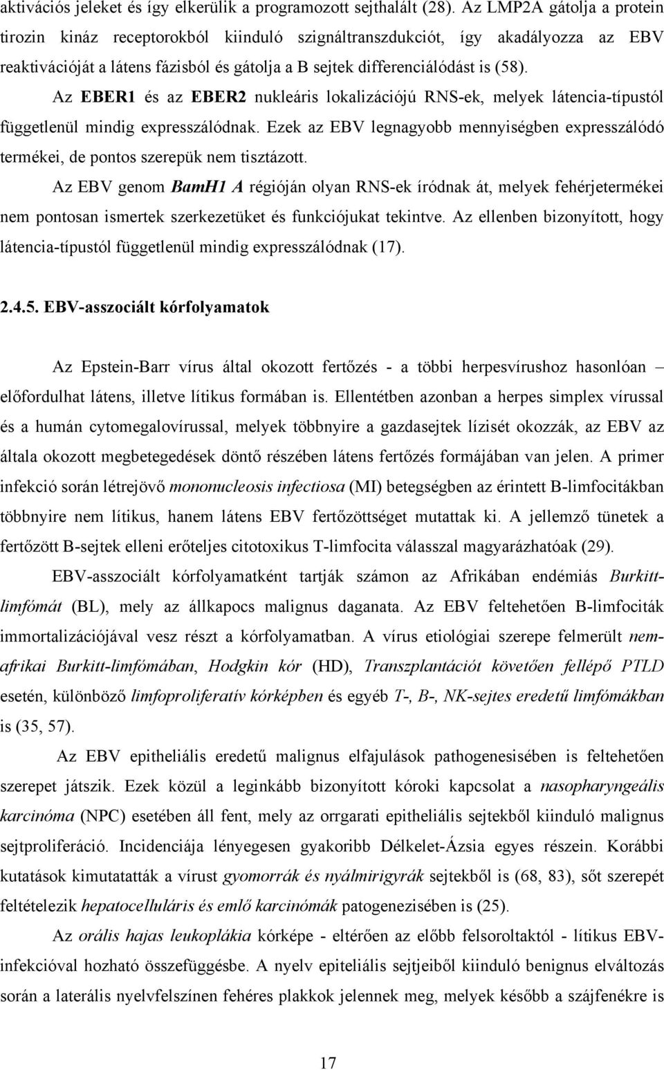 Az EBER1 és az EBER2 nukleáris lokalizációjú RNS-ek, melyek látencia-típustól függetlenül mindig expresszálódnak.