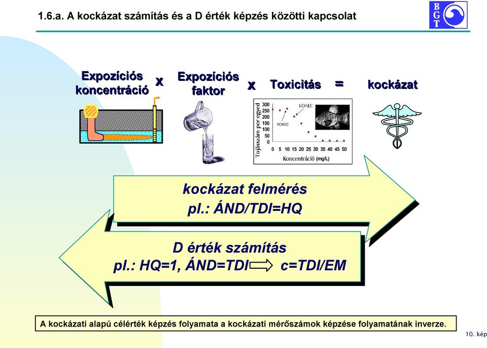 koncentráció x Expozíciós faktor = kockázat x Toxicitás kockázat felmérés pl.