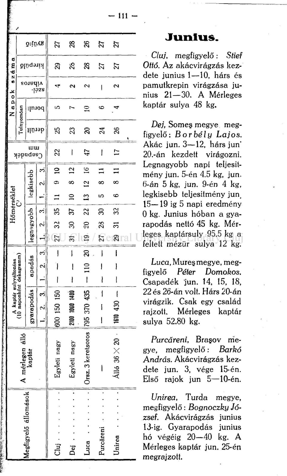 Junius hóban a gyarapodás nettó 45 kg. Mérleges kaptársuly 95.5 kg a feltett mézür súlya 12 kg. Luca, Mure megye, megfigyelő Péter Domokos. Csapadék jun. 14, 15, 18, 22 és 2ö-án volt.