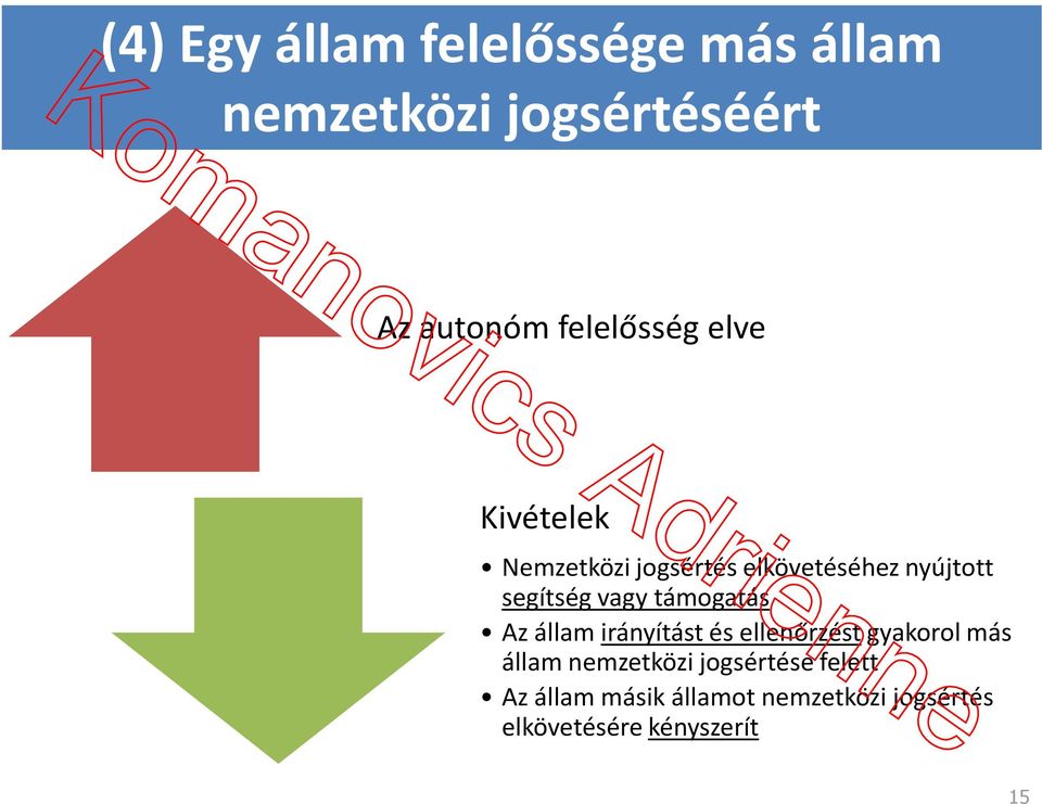 vagy támogatás Az állam irányítást és ellenőrzéstgyakorol más állam nemzetközi