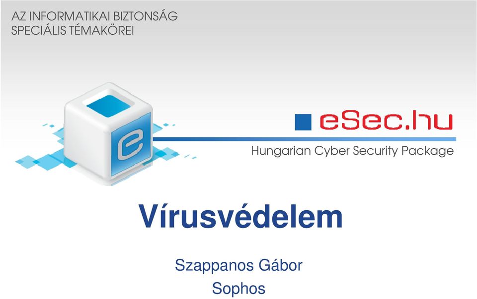 Hungarian Cyber Security