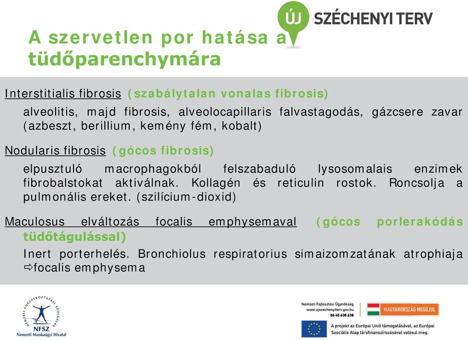 lysosomalais enzimek fibrobalstokat aktiválnak. Kollagén és reticulin rostok. Roncsolja a pulmonális ereket.