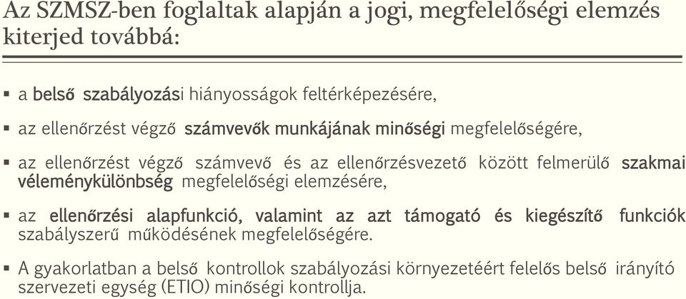 szakmai véleménykülönbség megfelelőségi elemzésére, az ellenőrzési alapfunkció, valamint az azt támogató és kiegészítő funkciók szabályszerű