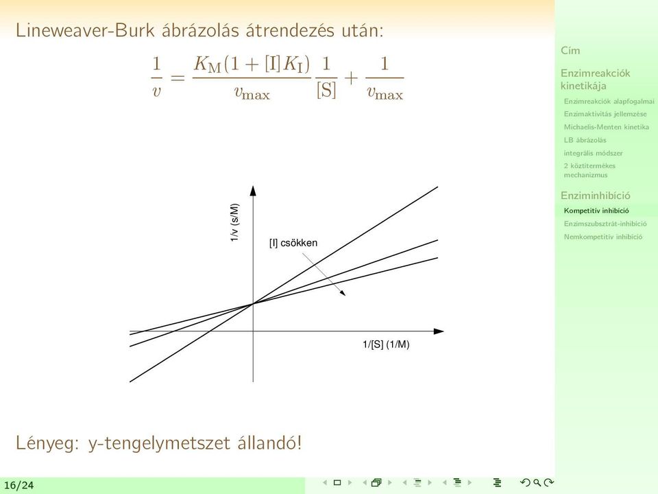 + 1 v max 1/v (s/m) [I] csökken 1/[S]