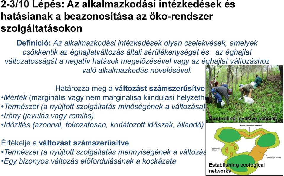 Határozza meg a változást számszerűsítve its: Mérték (marginális vagy nem marginálisa kiindulási helyzethez hasonlítva Természet (a nyújtott szolgáltatás minőségének a változása) Irány (javulás vagy