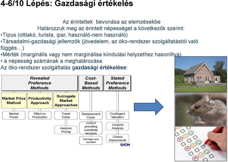 meghatározása Az öko-rendszer szolgáltatás gazdasági értékelése: Revealed Preference Methods Cost- Based Methods Stated Preference Methods Market Price Method Productivity Approach Surrogate