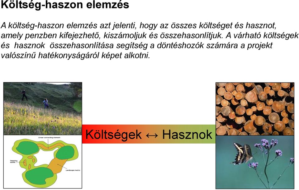 összehasonlítjuk.