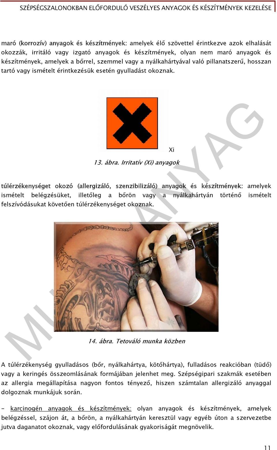 Irritatív (Xi) anyagok túlérzékenységet okozó (allergizáló, szenzibilizáló) anyagok és készítmények: amelyek ismételt belégzésüket, illetőleg a bőrön vagy a nyálkahártyán történő ismételt