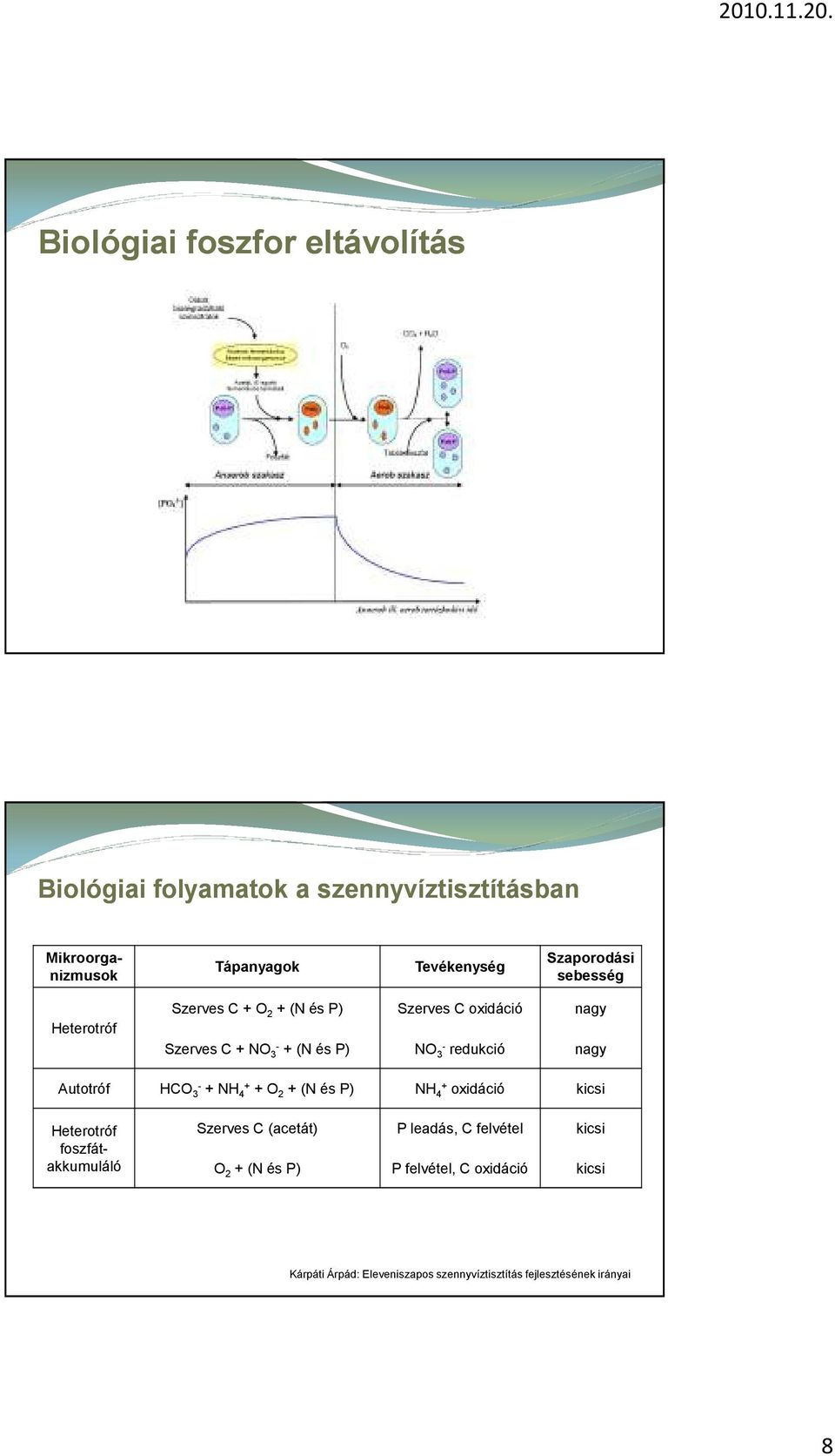 redukció nagy Autotróf HCO 3- + NH 4+ + O 2 + (N és P) NH 4+ oxidáció kicsi Heterotróf foszfátakkumuláló Szerves C (acetát) P