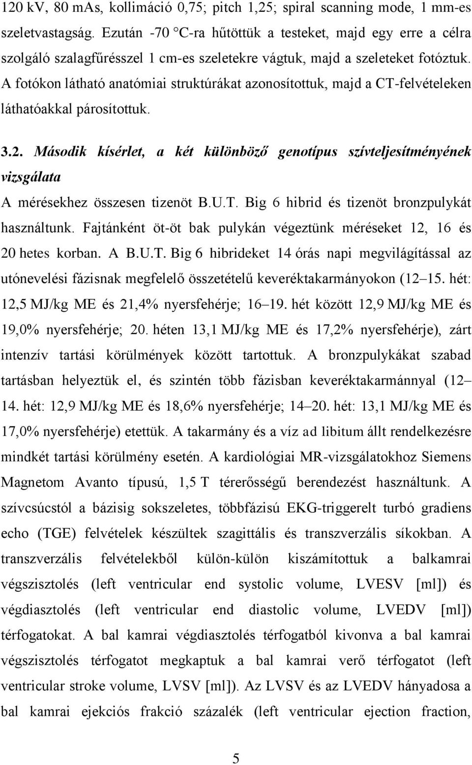 A fotókon látható anatómiai struktúrákat azonosítottuk, majd a CT-felvételeken láthatóakkal párosítottuk. 3.2.
