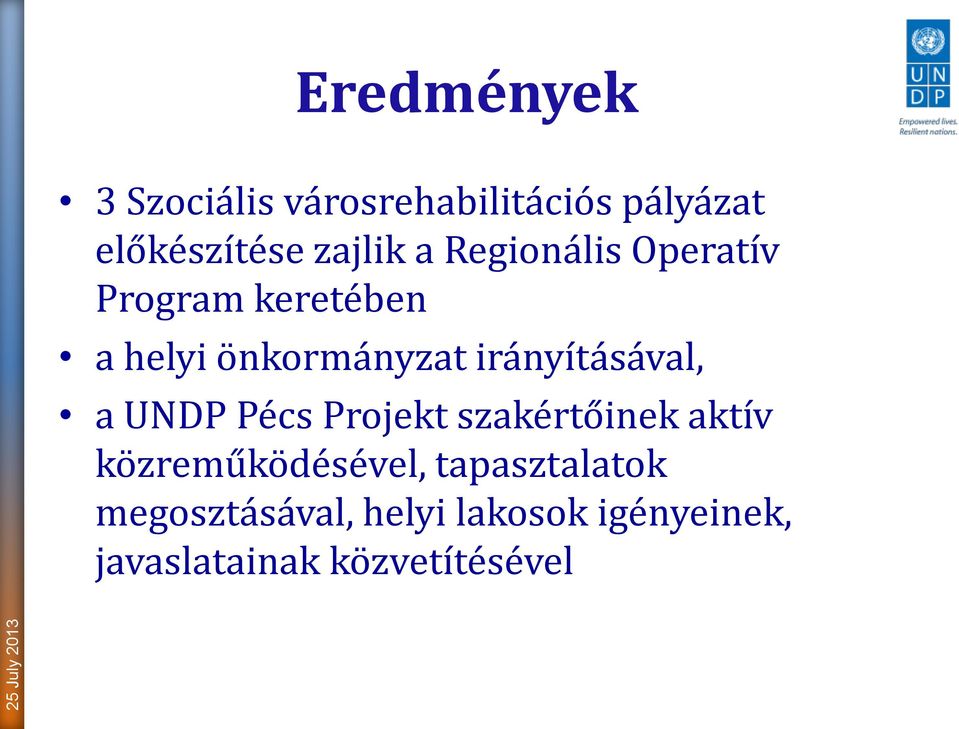 irányításával, a UNDP Pécs Projekt szakértőinek aktív közreműködésével,