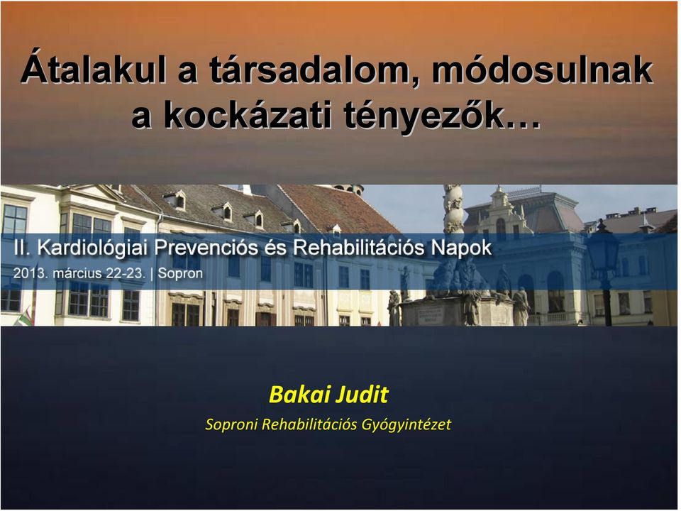 tényezt nyezők Bakai Judit