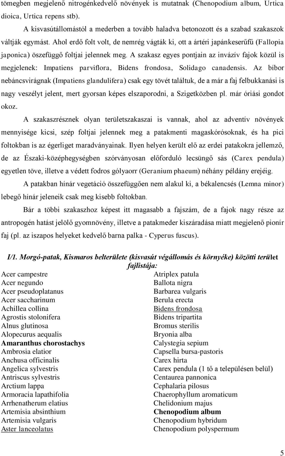 Ahol erdő folt volt, de nemrég vágták ki, ott a ártéri japánkeserűfű (Fallopia japonica) öszefüggő foltjai jelennek meg.