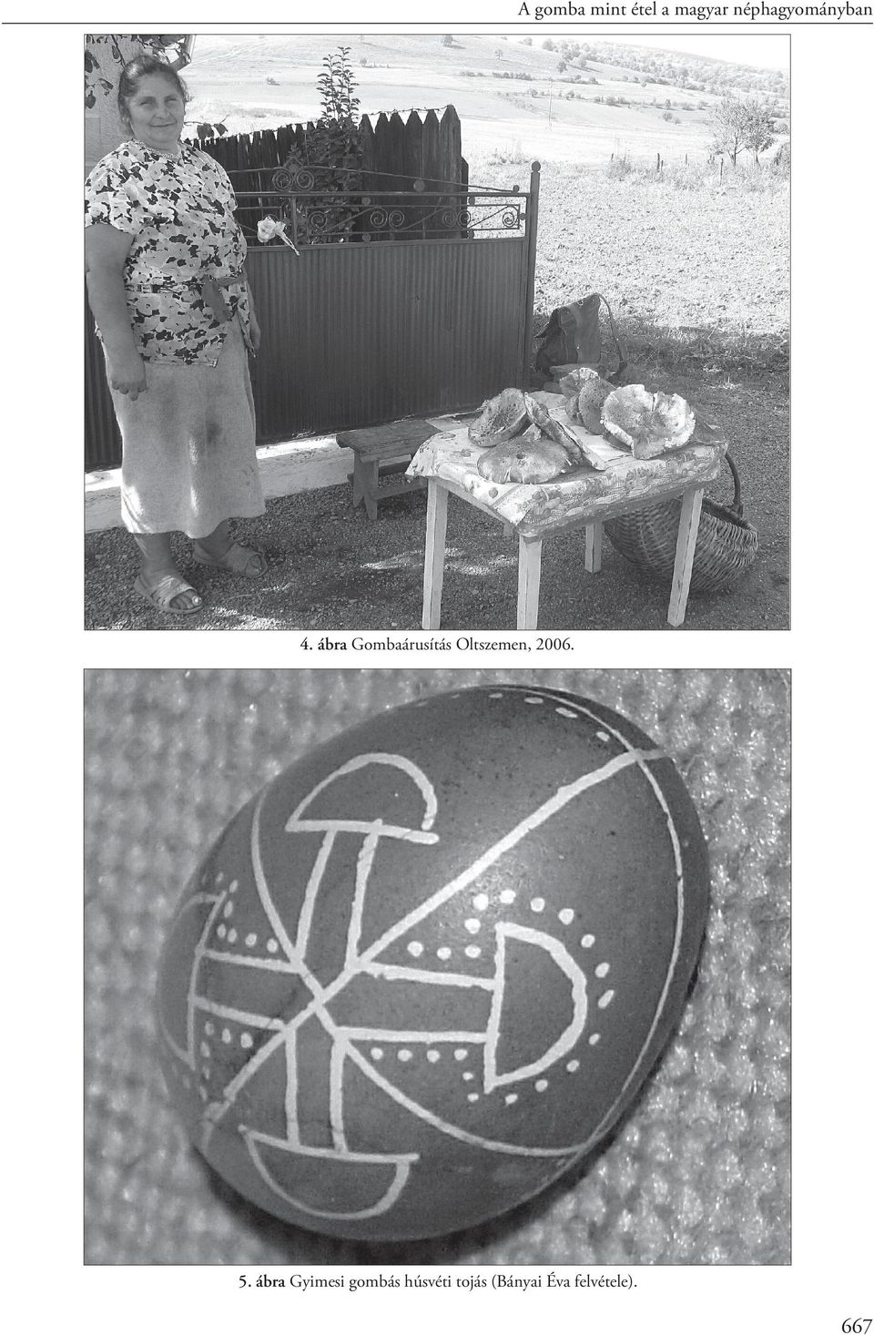 ábra Gombaárusítás Oltszemen, 2006.