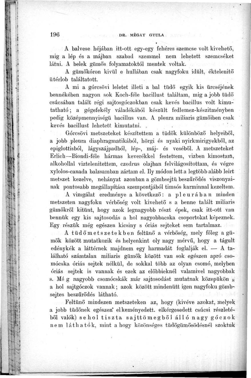 A mi a górcsövi leletet illeti a bal tüdő egyik kis ürcséjének berniekében nagyon sok Koch-féle bacillust találtam, mig a jobb tüdő csúcsában talált régi sajtosgóczokban csak kevés bacillus volt