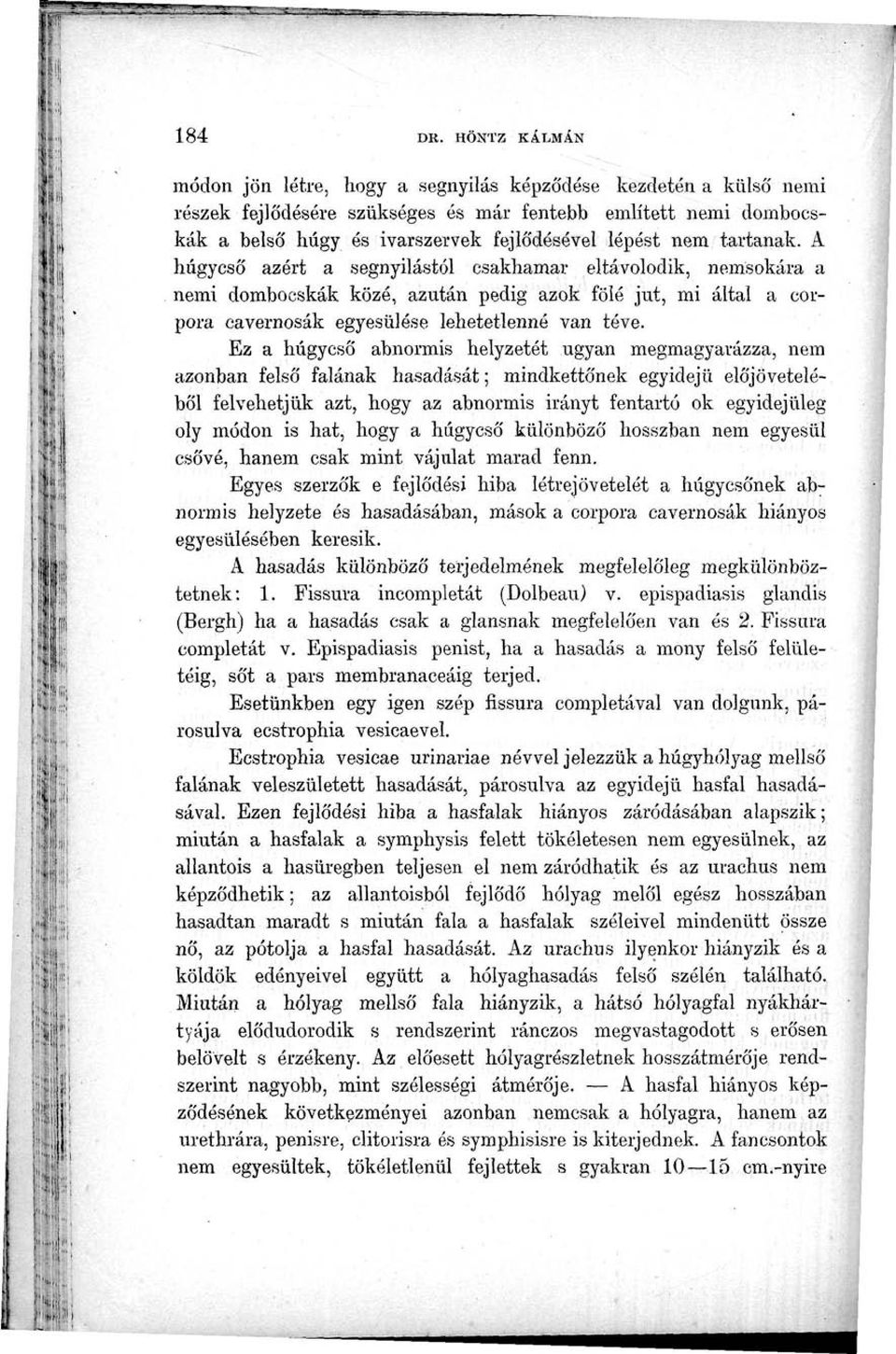 tartanak. A húgycső azért a segnyilástól csakhamar eltávolodik, nemsokára a nemi dombocskák közé, azután pedig azok fölé jut, mi által a corpora cavernosák egyesülése lehetetlenné van téve.