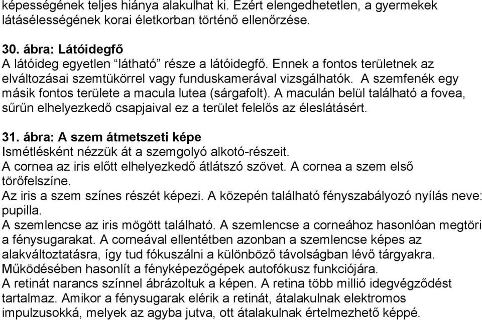 A maculán belül található a fovea, sűrűn elhelyezkedő csapjaival ez a terület felelős az éleslátásért. 31. ábra: A szem átmetszeti képe Ismétlésként nézzük át a szemgolyó alkotó-részeit.