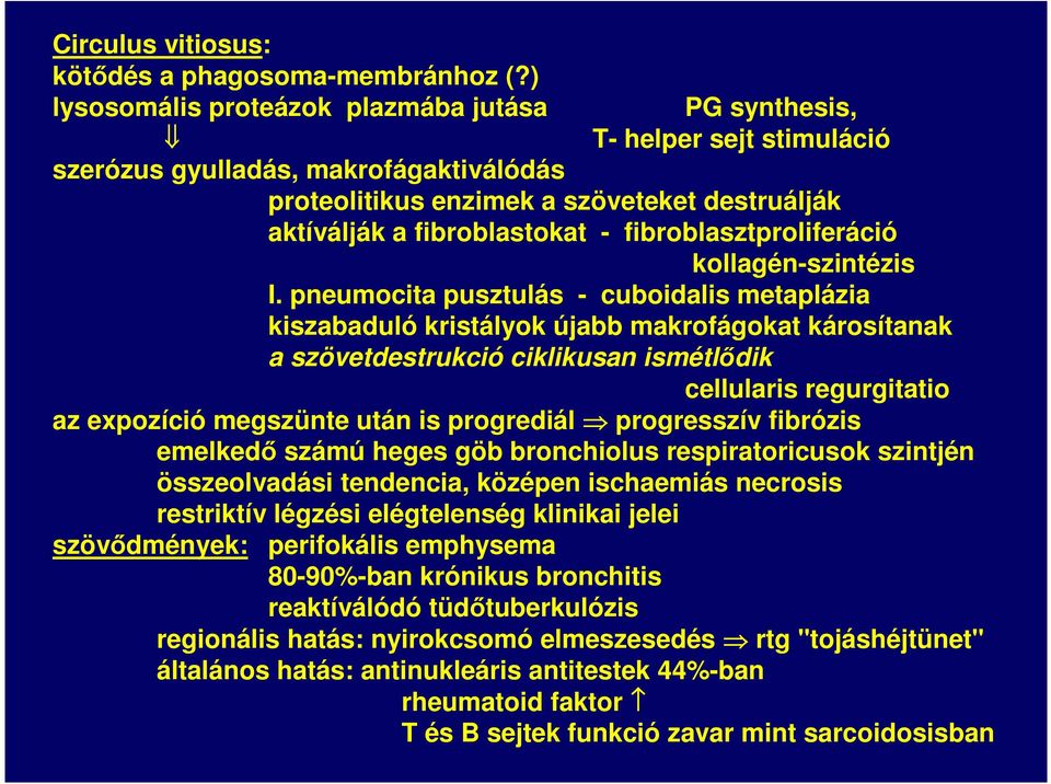 fibroblasztproliferáció kollagén-szintézis I.
