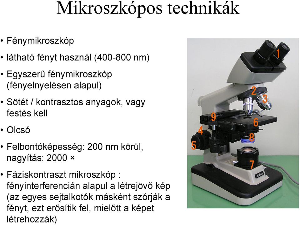 Felbontóképesség: 200 nm körül, nagyítás: 2000 Fáziskontraszt mikroszkóp : fényinterferencián