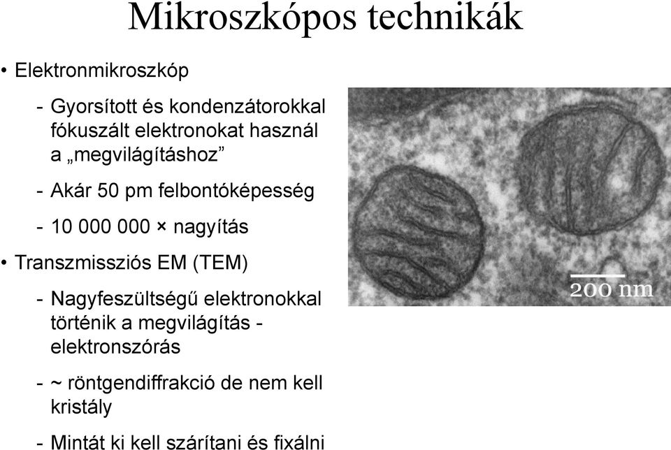 nagyítás Transzmissziós EM (TEM) - Nagyfeszültségű elektronokkal történik a megvilágítás