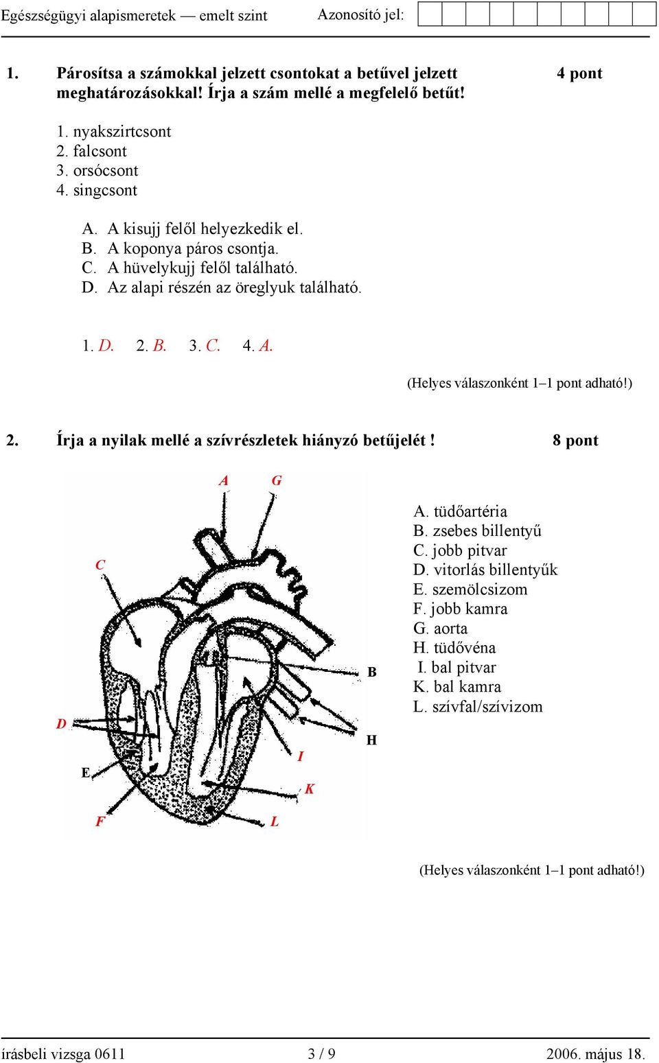 1. D. 2. B. 3. C. 4. A. 2. Írja a nyilak mellé a szívrészletek hiányzó betűjelét! 8 pont A G D E C I K B H A. tüdőartéria B. zsebes billentyű C. jobb pitvar D.