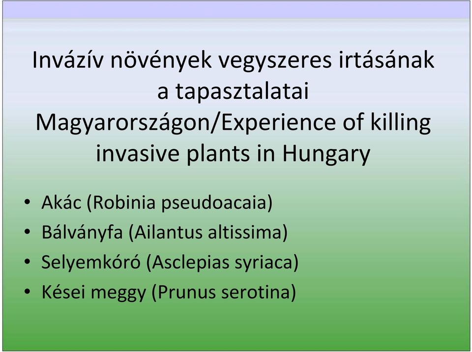 invasiveplantsinhungary Akác (Robinia pseudoacaia)