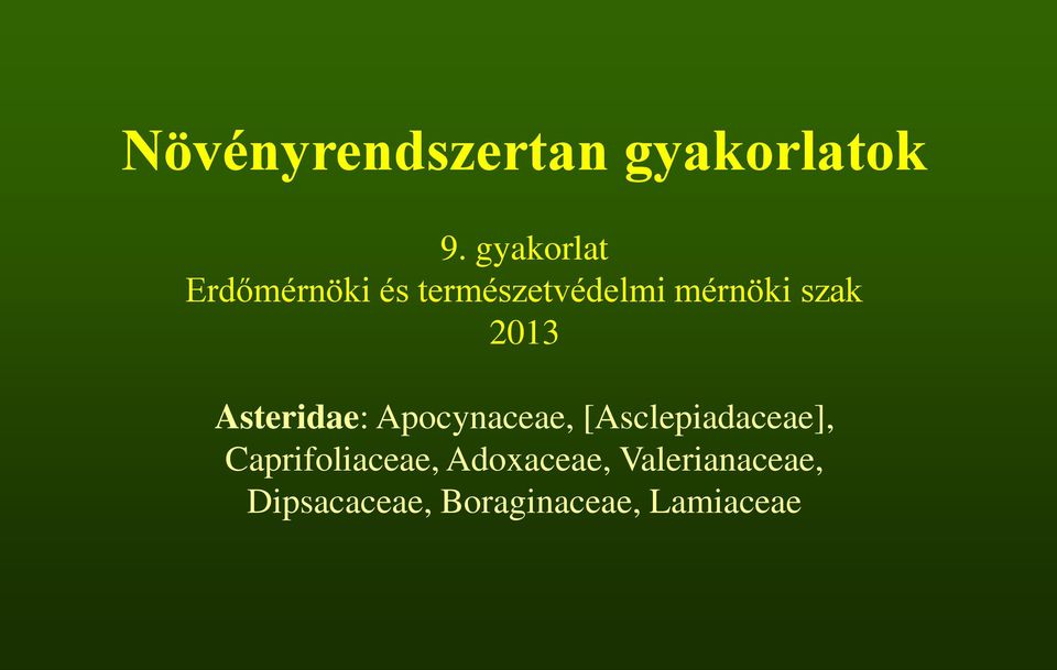 szak 2013 Asteridae: Apocynaceae, [Asclepiadaceae],