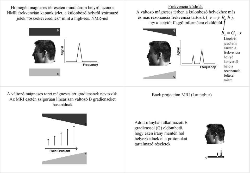 G x x Lineáris gradiens esetén a frekvencia hellyé konvertálható a rezonancia feltétel miatt A változó mágneses teret mágneses tér gradiensnek nevezzük.
