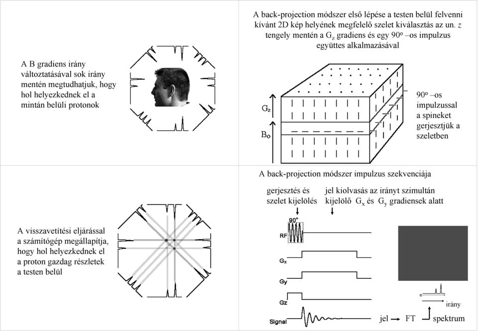 helyezkednek el a mintán belüli protonok 90 o os impulzussal a spineket gerjesztjük a szeletben A back-projection módszer impulzus szekvenciája gerjesztés és szelet