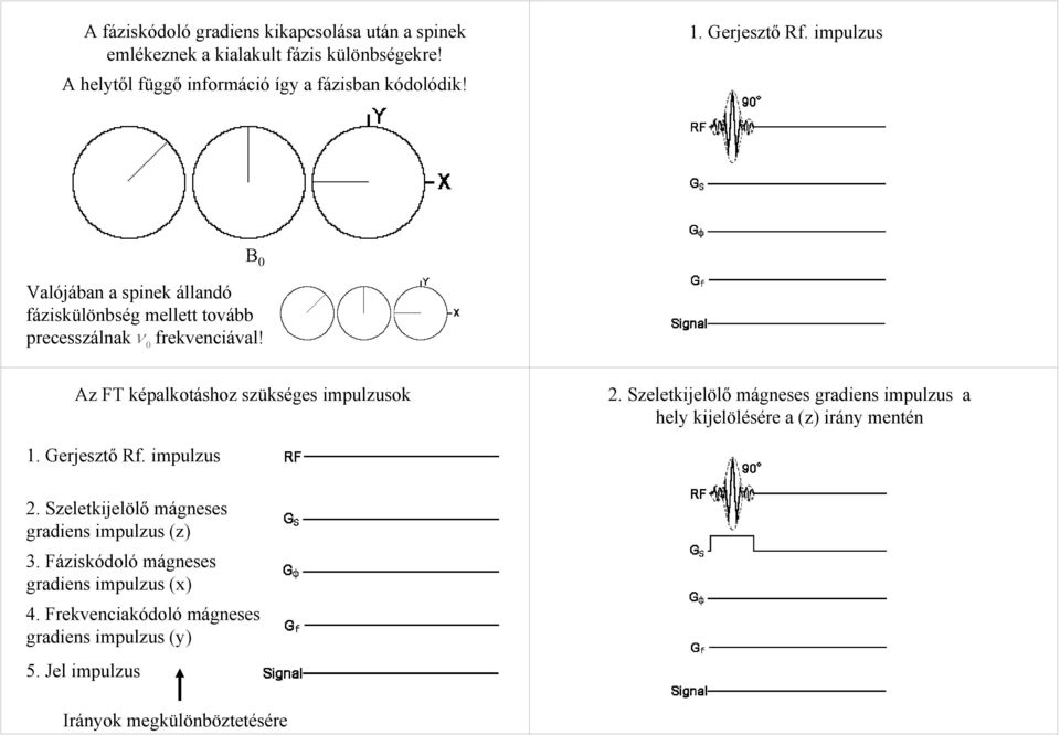 ν 0 Az FT képalkotáshoz szükséges impulzusok 2. Szeletkijelölő mágneses gradiens impulzus a hely kijelölésére a (z) irány mentén 1. Gerjesztő Rf.