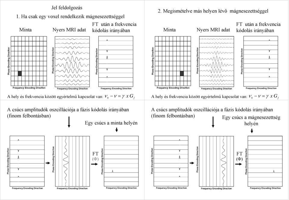 kapcsolat van: ν 0 ν = γ x G f A csúcs amplitudók oszcillációja a fázis kódolás irányában (finom felbontásban) Egy csúcs a minta helyén A hely és