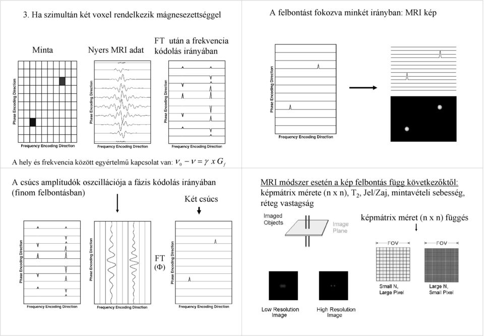 amplitudók oszcillációja a fázis kódolás irányában (finom felbontásban) Két csúcs MRI módszer esetén a kép felbontás függ