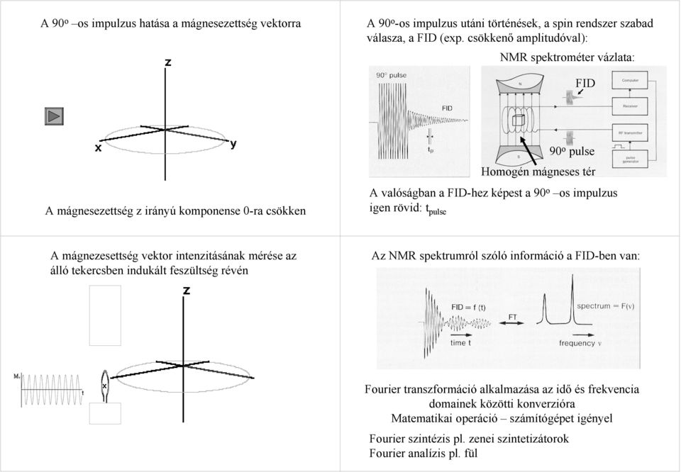 90 o os impulzus igen rövid: t pulse A mágnezesettség vektor intenzitásának mérése az álló tekercsben indukált feszültség révén Az MR spektrumról szóló információ a