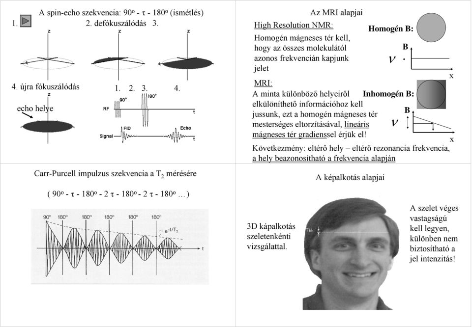 echo helye Carr-Purcell impulzus szekvencia a T 2 mérésére Az MRI alapjai High Resolution MR: Homogén mágneses tér kell, hogy az összes molekulától azonos frekvencián kapjunk jelet MRI: A minta