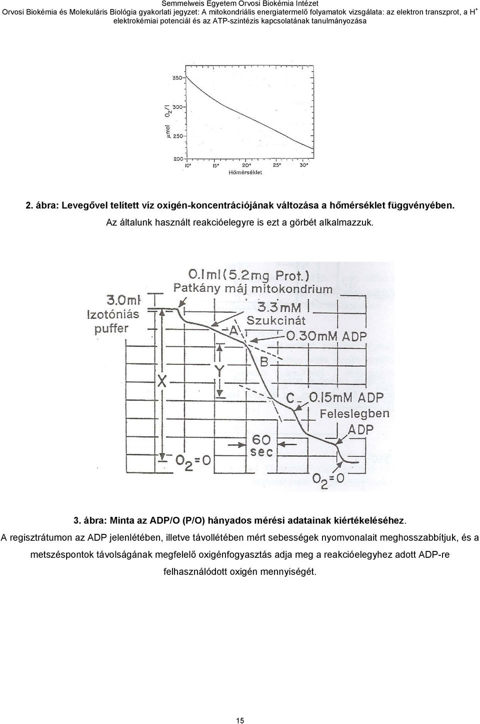 ábra: Minta az ADP/O (P/O) hányados mérési adatainak kiértékeléséhez.