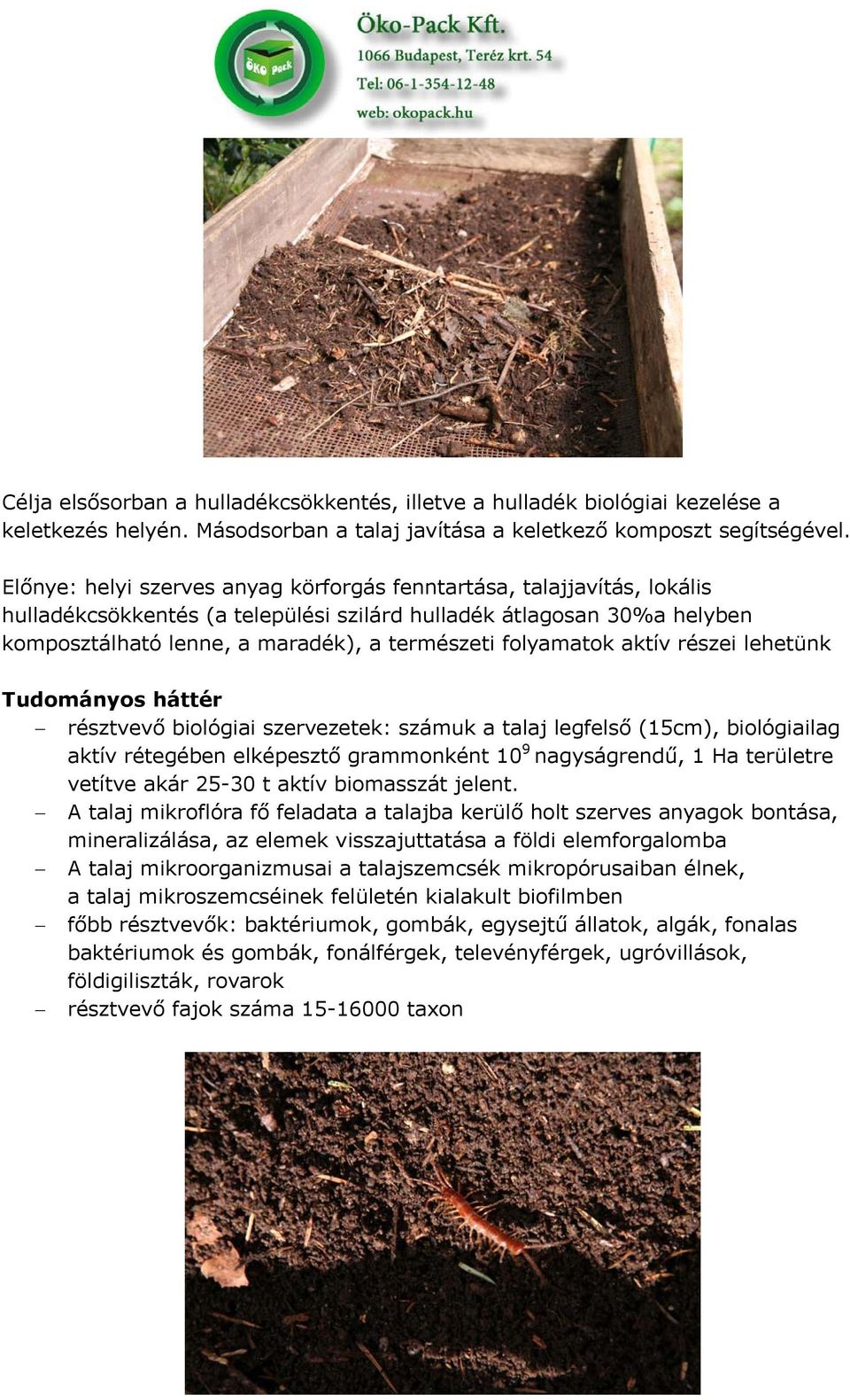 folyamatok aktív részei lehetünk Tudományos háttér résztvevő biológiai szervezetek: számuk a talaj legfelső (15cm), biológiailag aktív rétegében elképesztő grammonként 10 9 nagyságrendű, 1 Ha