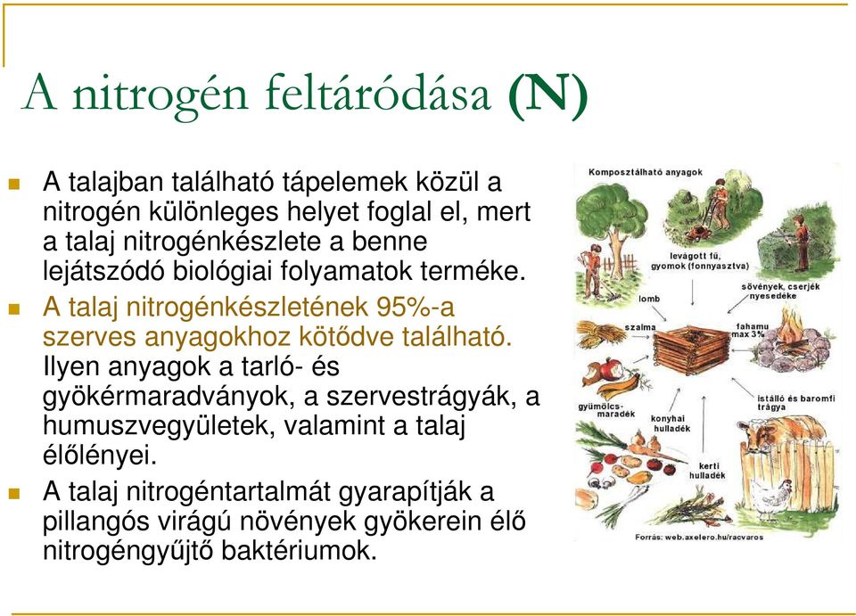 A talaj nitrogénkészletének 95%-a szerves anyagokhoz kötıdve található.