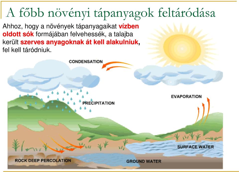 formájában felvehessék, a talajba került szerves