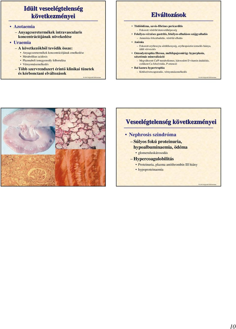 savós-fibrines pericarditis Fokozott vérérfal áteresztıképesség Fekélyes-vérzéses gastritis, fekélyes-elhalásos szájgyulladás Ammónia-felszabadulás, vérérfal-elhalás Anémia Fokozott erythrocyta