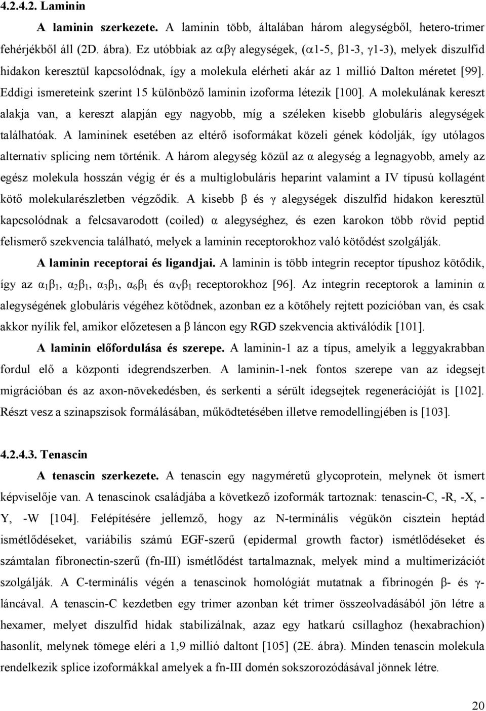 Eddigi ismereteink szerint 15 különböz laminin izoforma létezik [100]. A molekulának kereszt alakja van, a kereszt alapján egy nagyobb, míg a széleken kisebb globuláris alegységek találhatóak.