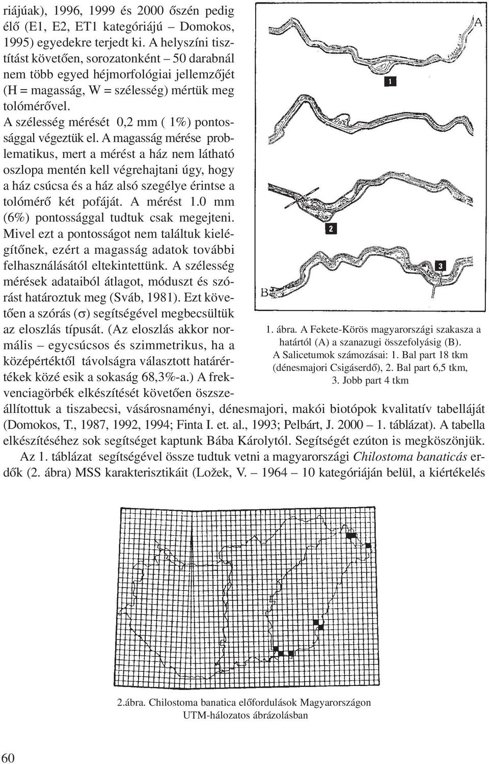 A helyszíni tisztítást követõen, sorozatonként 50 darabnál nem több egyed héjmorfológiai jellemzõjét (H = magasság, W = szélesség) mértük meg tolómérõvel.